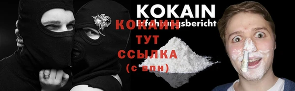 шишки Армянск