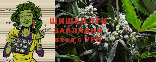 шишки Армянск