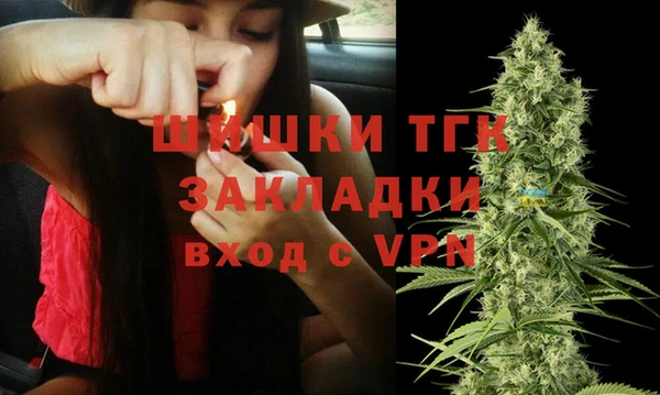дмт Арсеньев