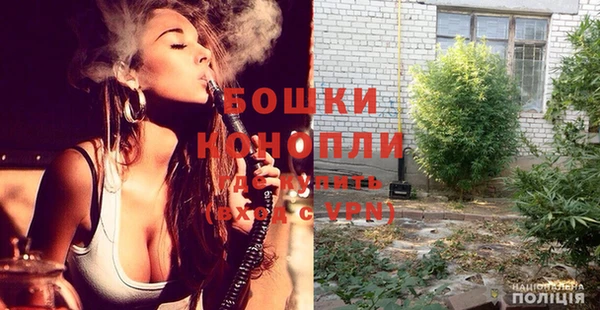 шишки Армянск