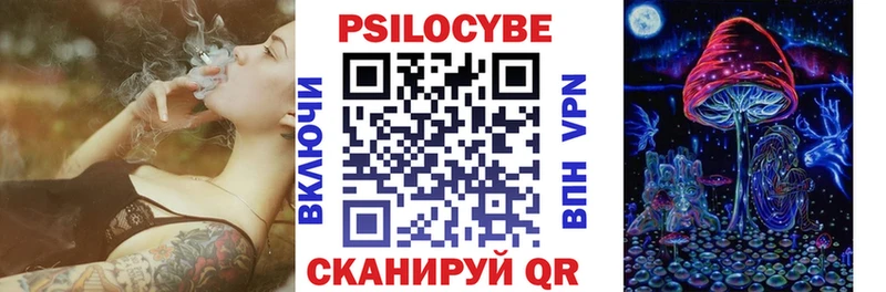 гидра ссылки Воронеж Галлюциногенные грибы Cubensis